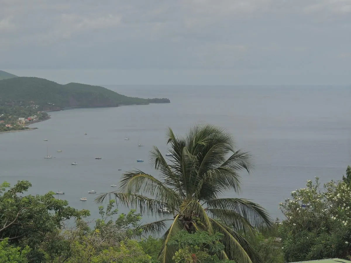Gites Hotel Couleur Caraibes Bouillante Holiday home